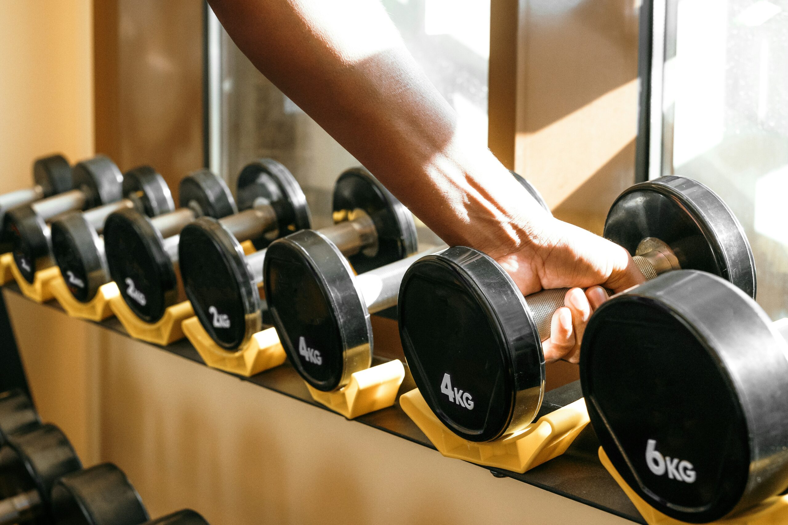 Daniel Deneui- Workout